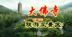 收一级黄片操逼的前面入的中国浙江-新昌大佛寺旅游风景区